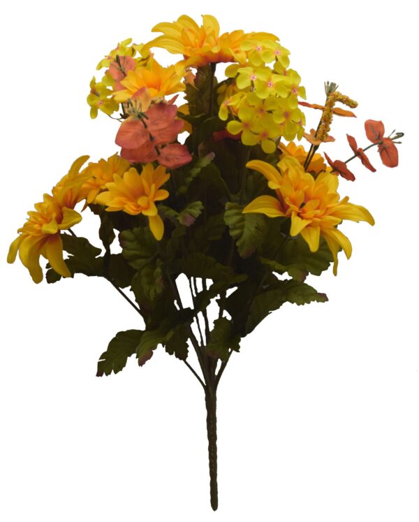 Brighten up any space with this Dahlia and Daisy Bush