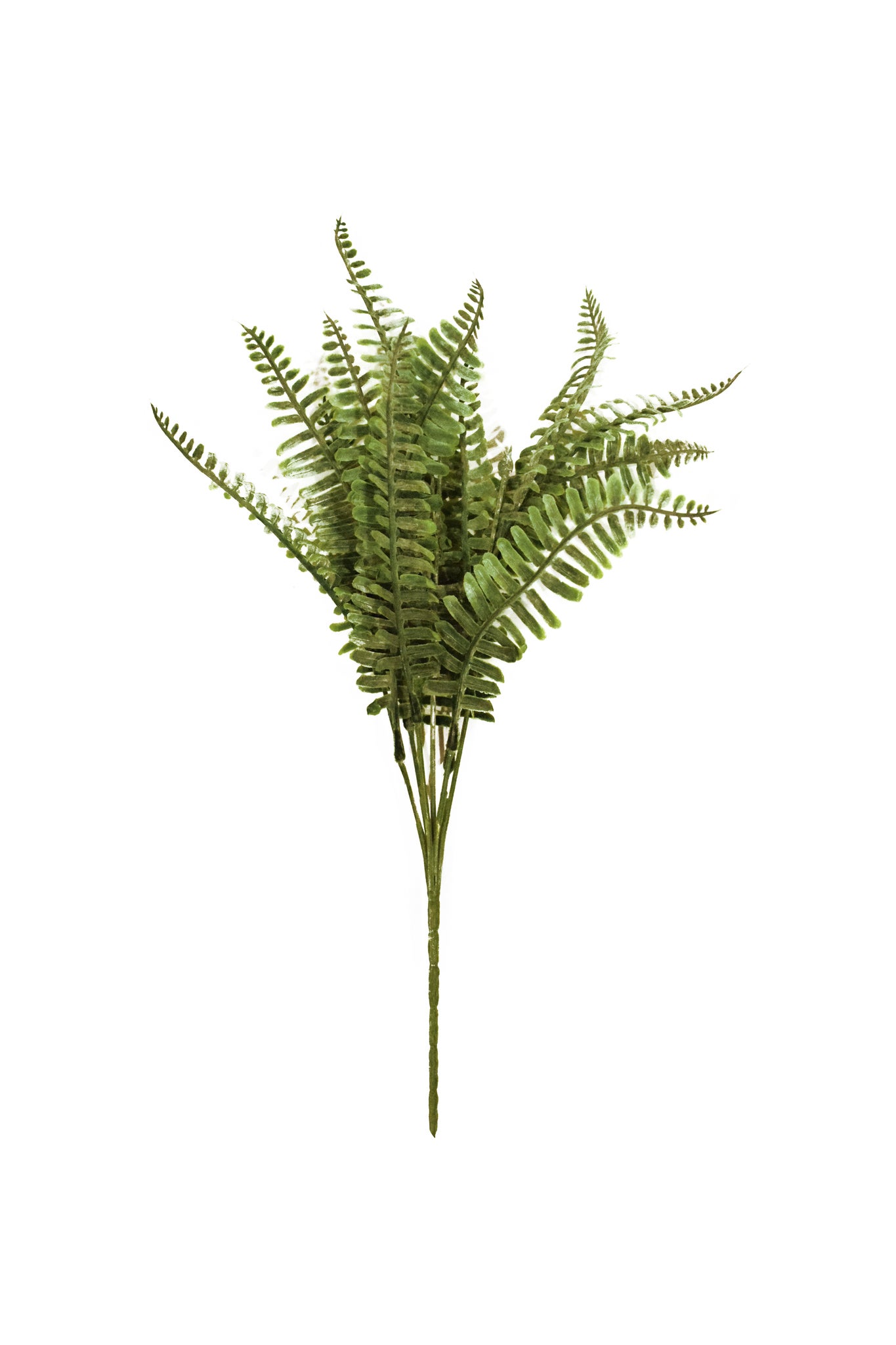 Bring the lush beauty of nature indoors with this Artificial Boston Fern Bush